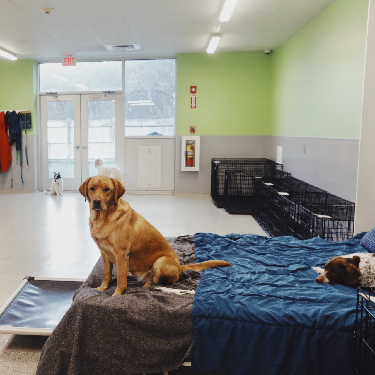 Processed with VSCO with av4 preset